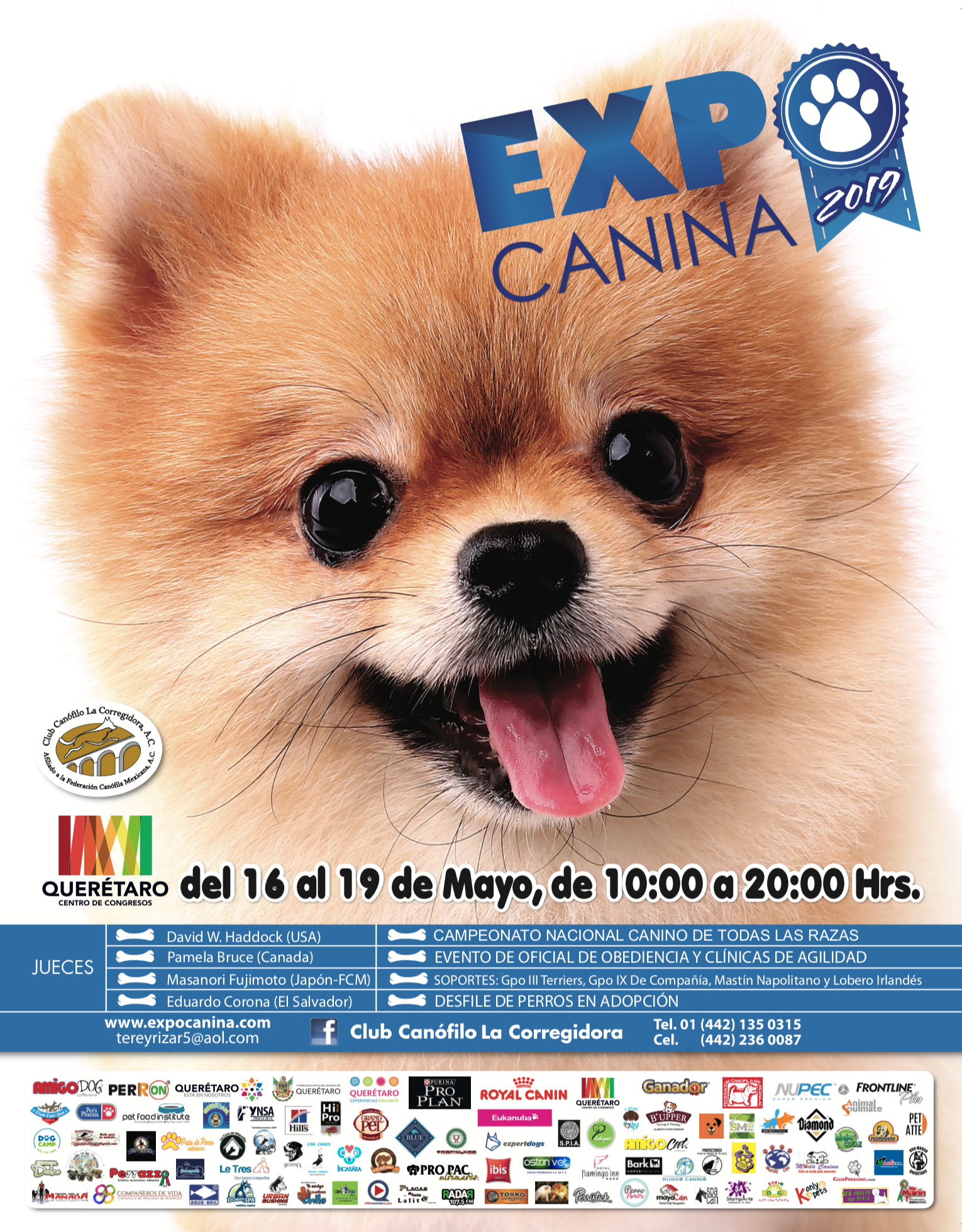 cartel
