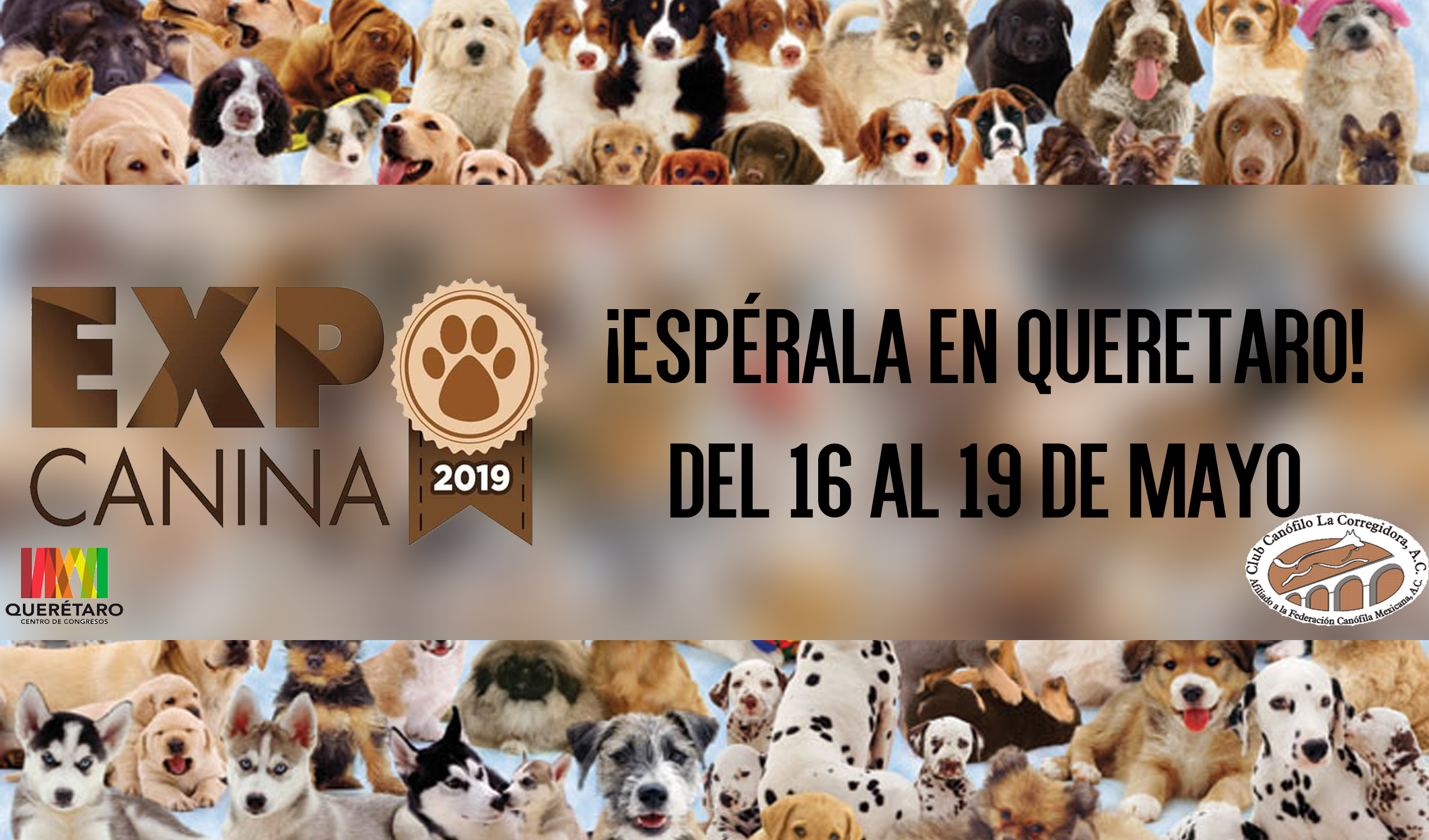 expo2019