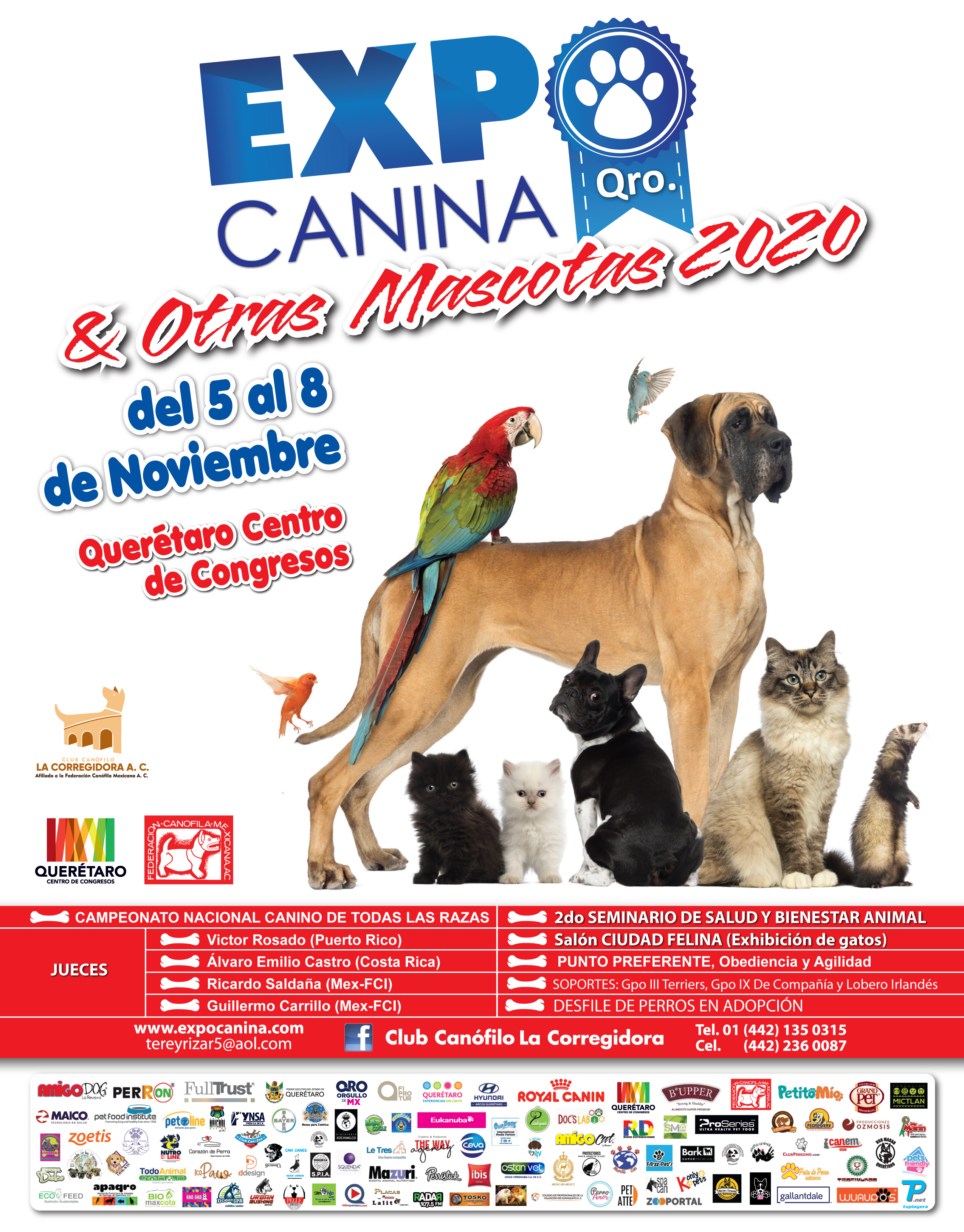Ad ECyMQ 2020 Carta