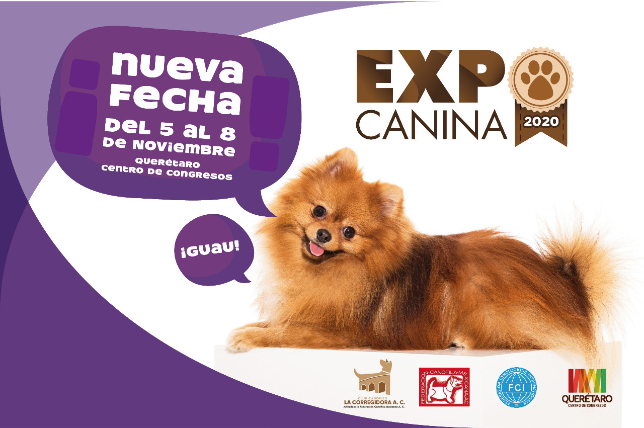 Expo Canina-Nueva fecha