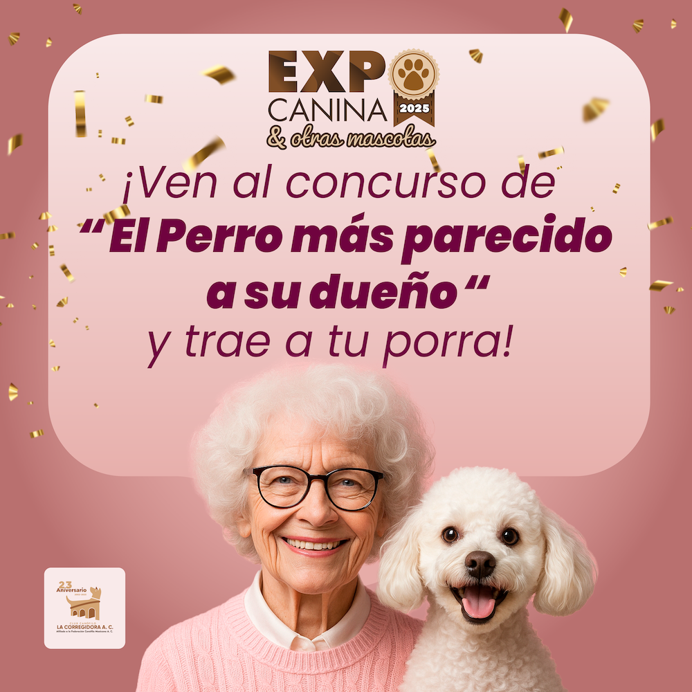 PARECIDOS