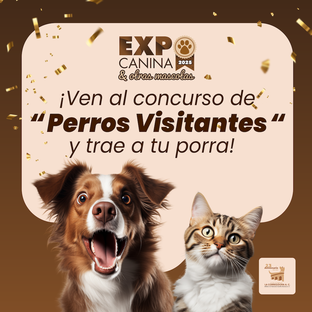VISITANTES